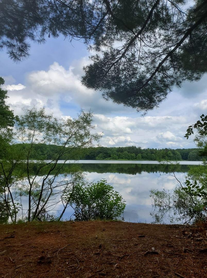 Tranquility