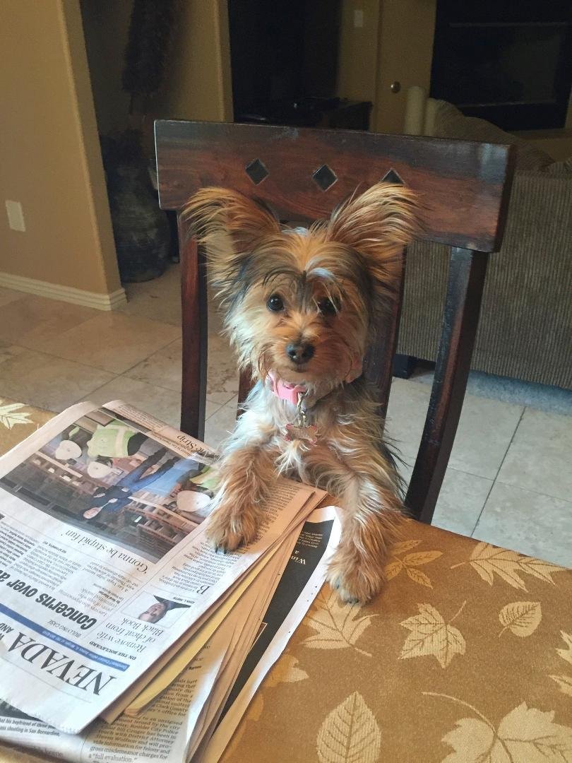 Our Fiona reading the RJ