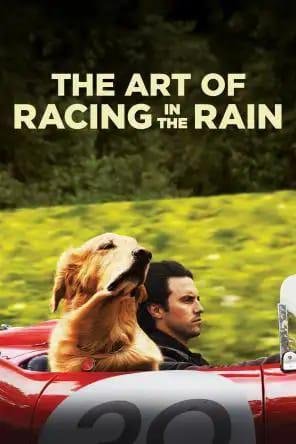 If you love dogs, here is a great movie for you to watch! Good storyline and could be a bit of a tear jerker! Worth watching!
