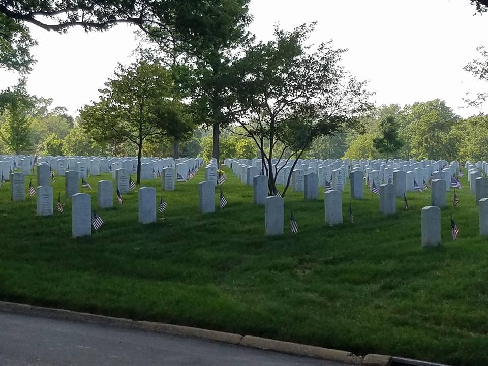 Steven Watson's album, Memorial Day Weekend 2016