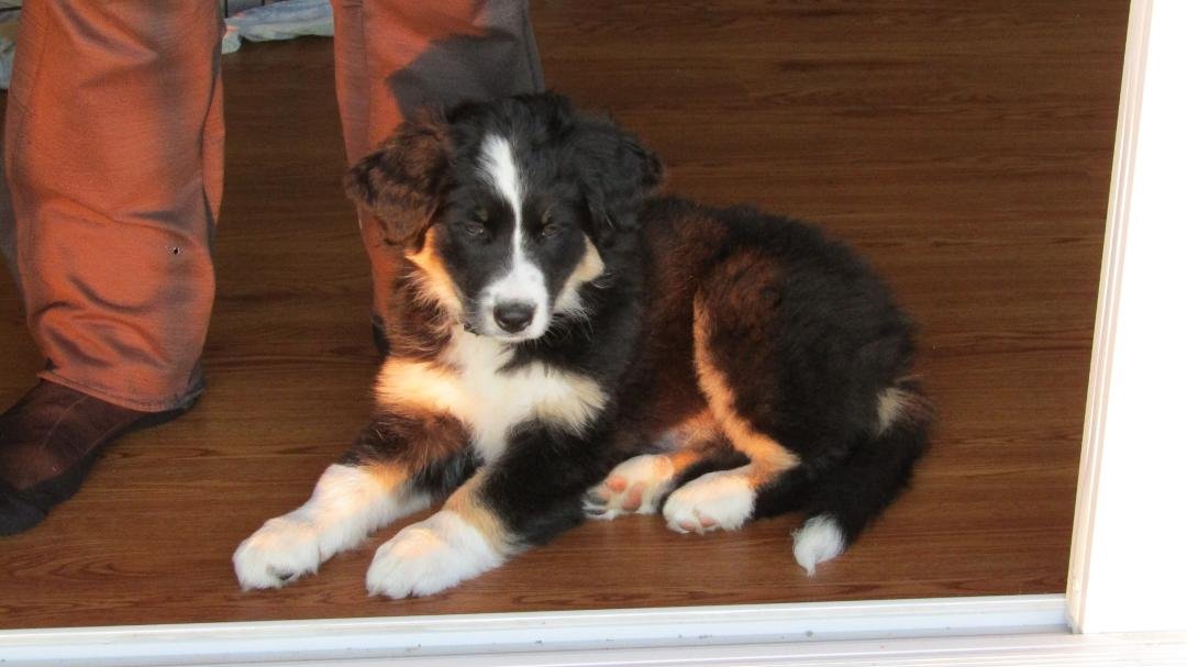 16 lbs @ 9.5 weeks
