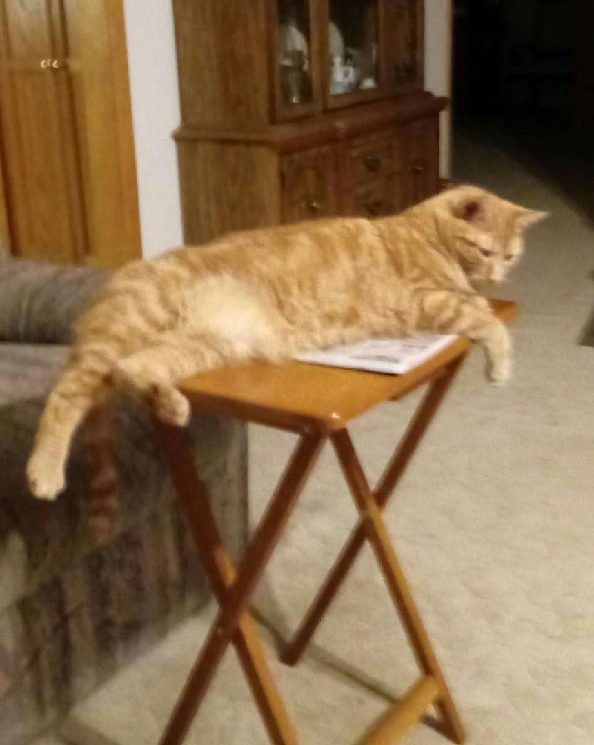 Butters is chillin.