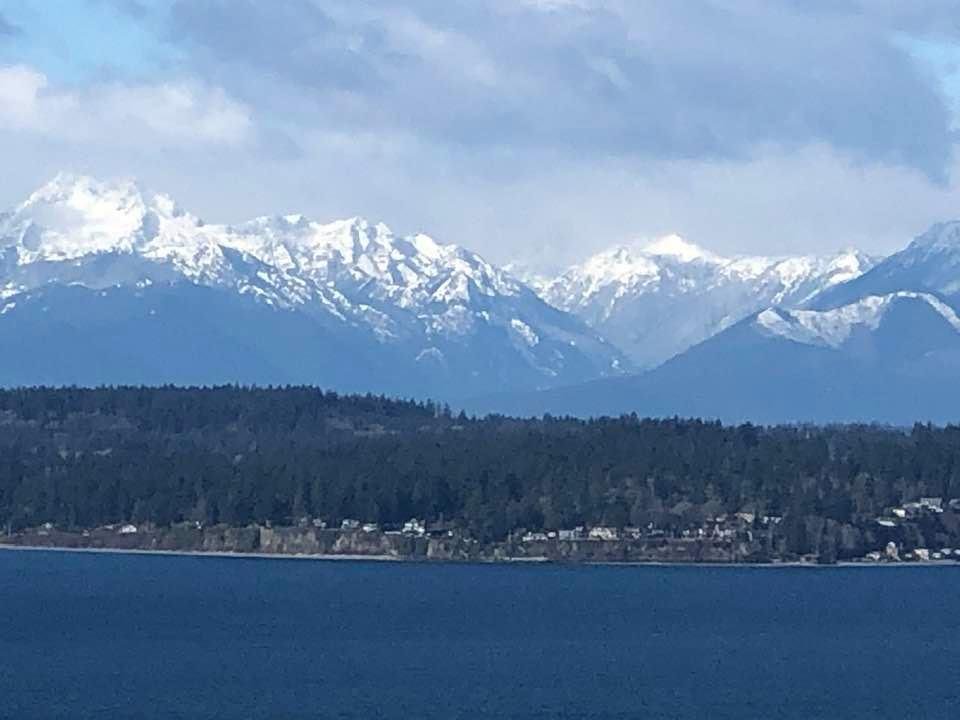On my walk today
