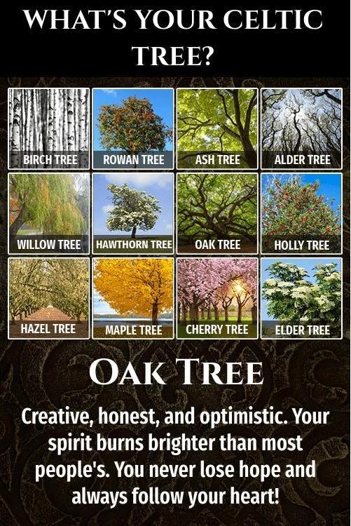 Garry Hardt's album, Timeline Photos