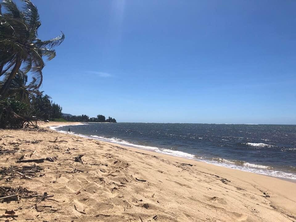 Different day, different beach! This never gets old!