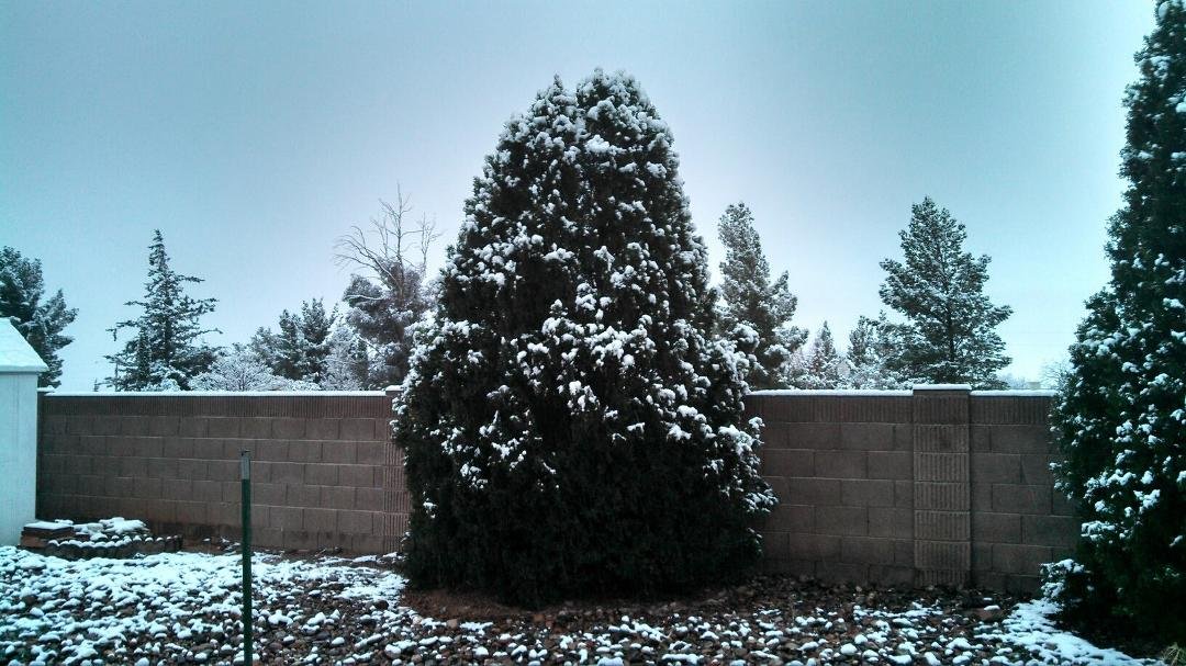 Our year end snow we got the morning of 31 Jan 2012  in Sierra Vista, Arizona