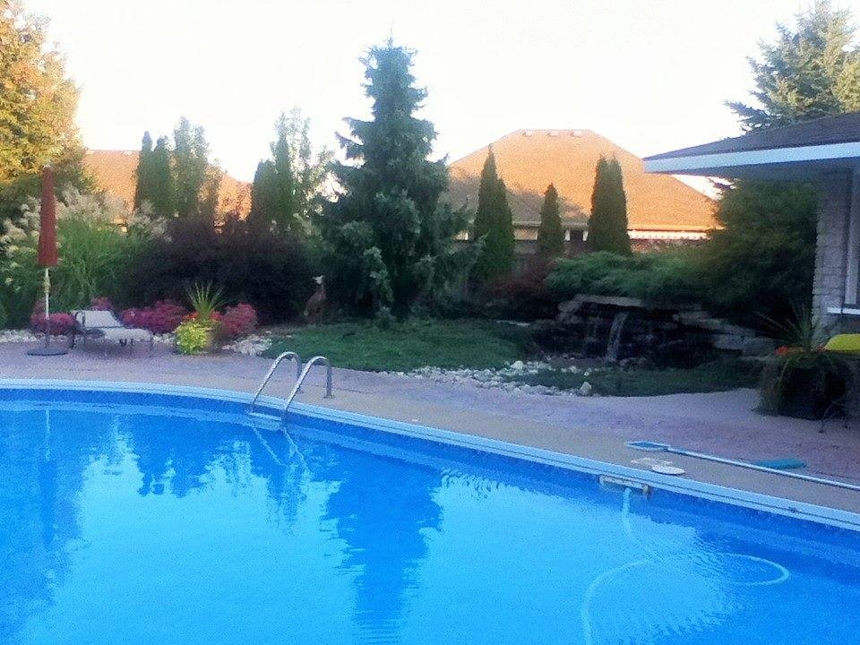 Come on Spring