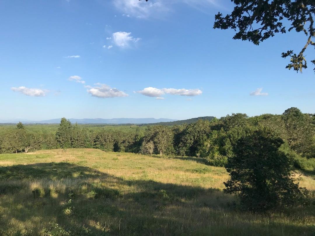 Our picnic site at Finley National Wildlife Refuge, with the Cascades in the distance.