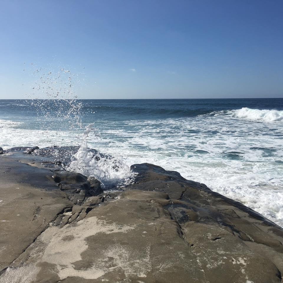 I love my backyard!