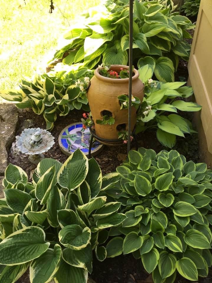 Susan Hall's album, Timeline Photos