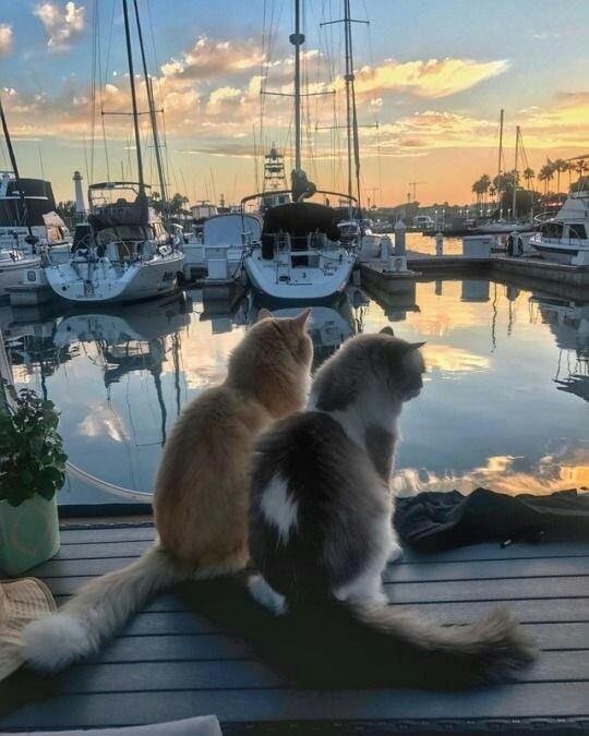 Happy Friday!
