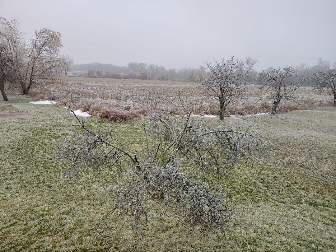 Icey start hopefully it will warm up this afternoon!