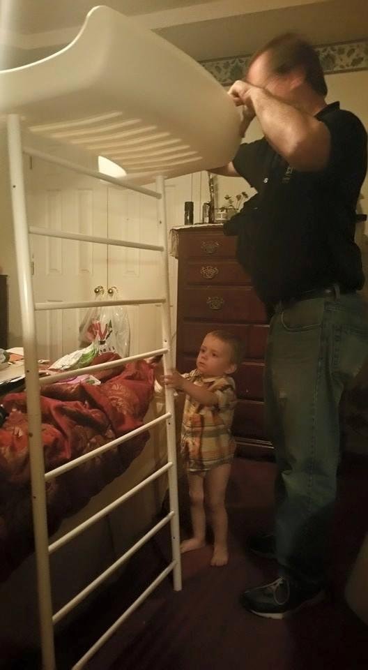 Boo helping papa put his new bed together.
