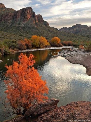 Debra Davis' album, AZ Seasonal Pictures