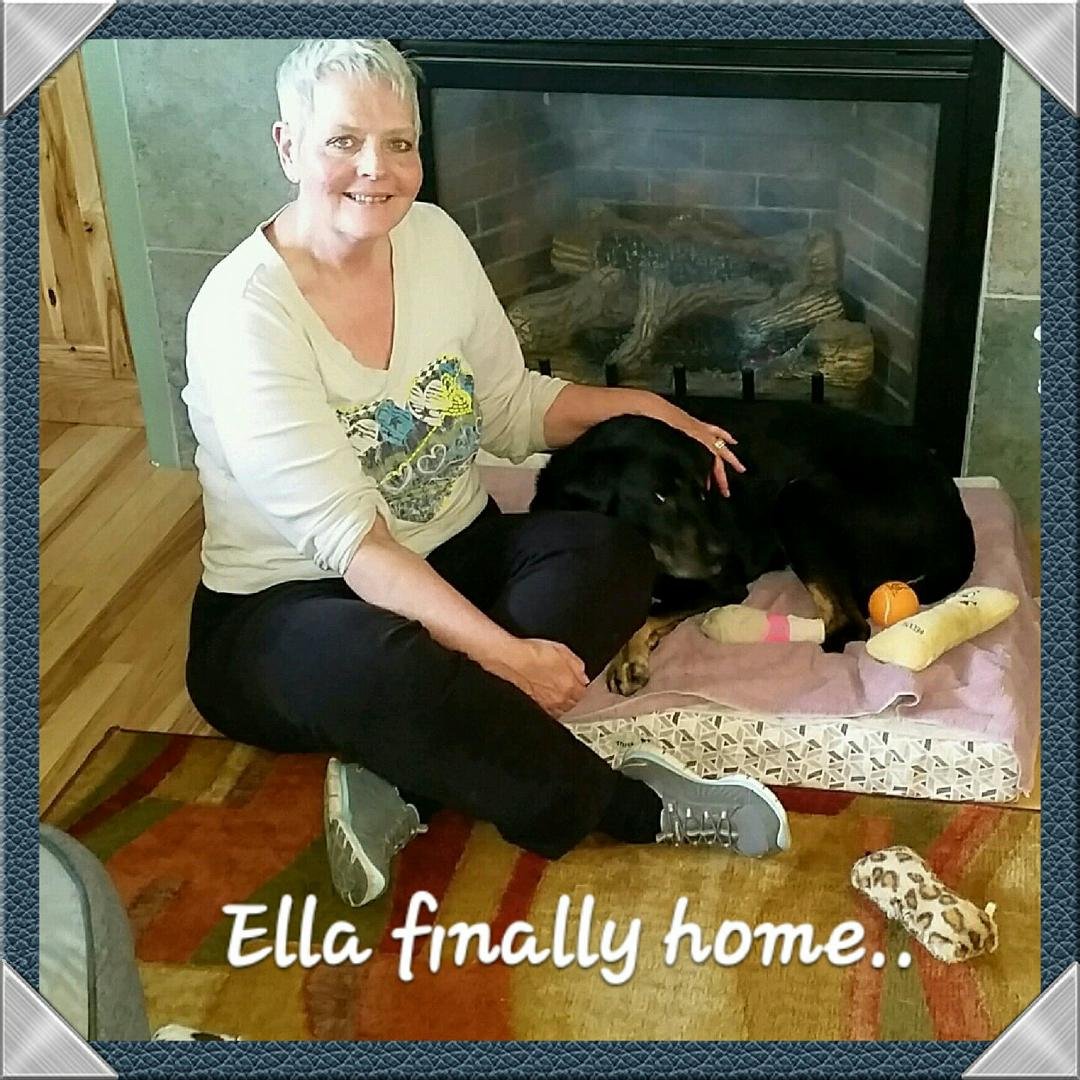 No more shelters for sweet Ella.