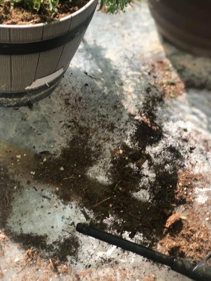 Pat Hunley's album, Mobile Uploads