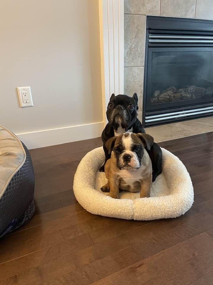 My newest grand kids? in Fort MacMurray.