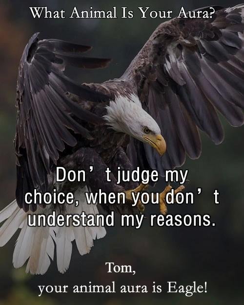 Tom Weaver's album, Timeline photos