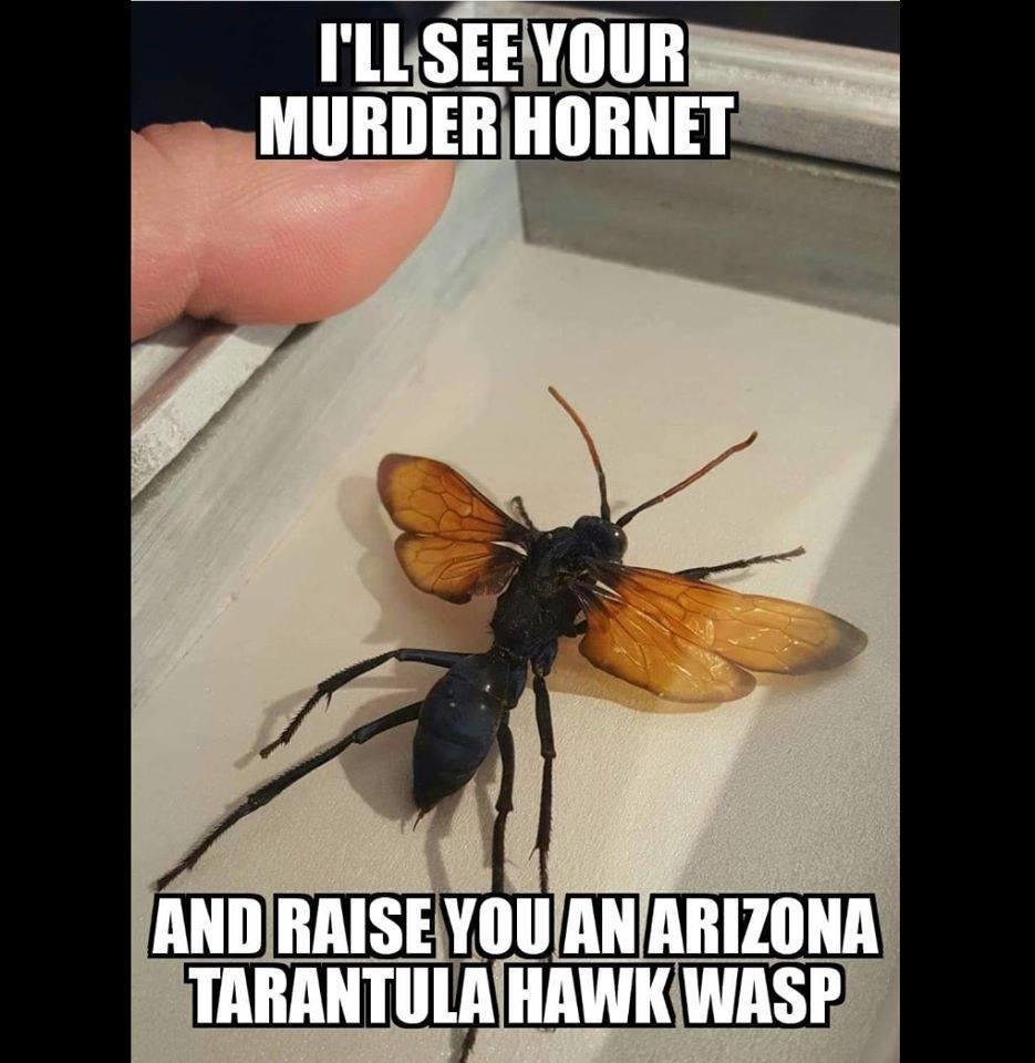 John Schalk's album, Timeline Photos
