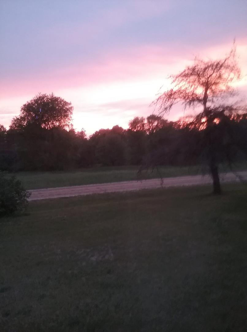 Mary Case's album, Timeline Photos