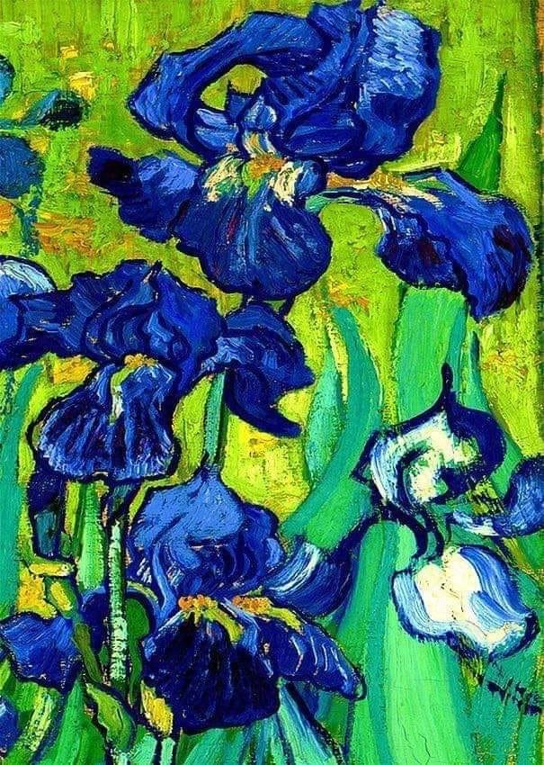 Lirios (detalles ), 1889....Vincent Van Gogh.