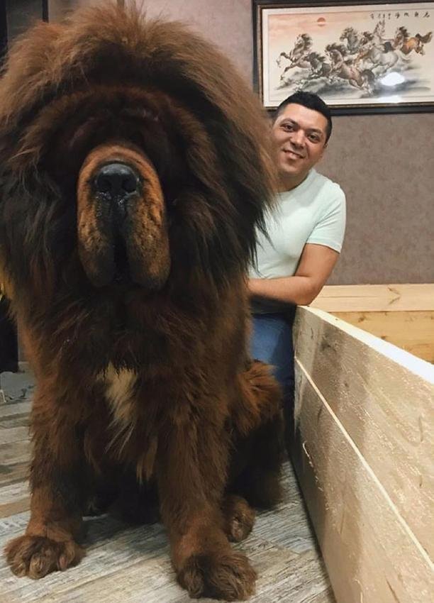 Look at this big boy