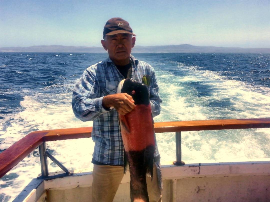 Sheepshead caught off Santa Rosa Island, one of several. My husband, if he's not fishing, he's certainly thinking about it. About once a month, April through November or December.