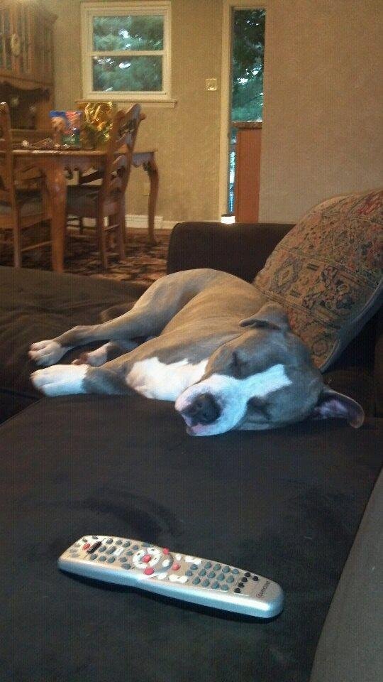 After 1 week i believe he feels at home