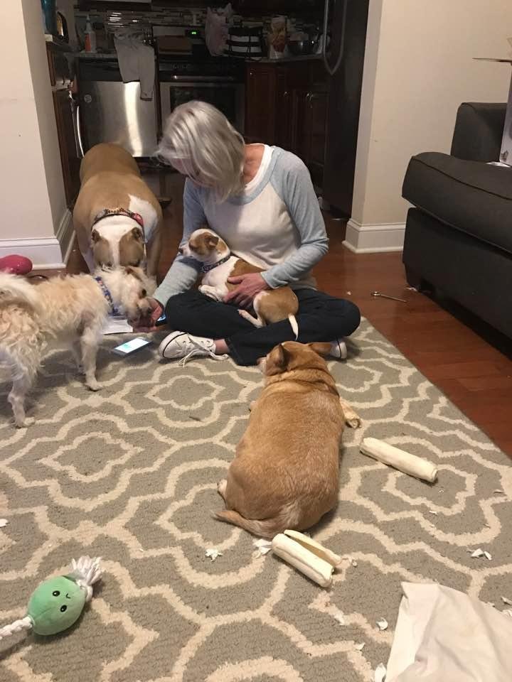 Me with the petting zoo at my girls house