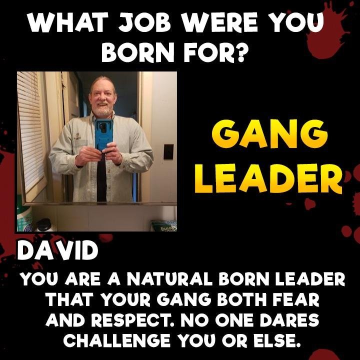 David Lovering's album, Timeline Photos