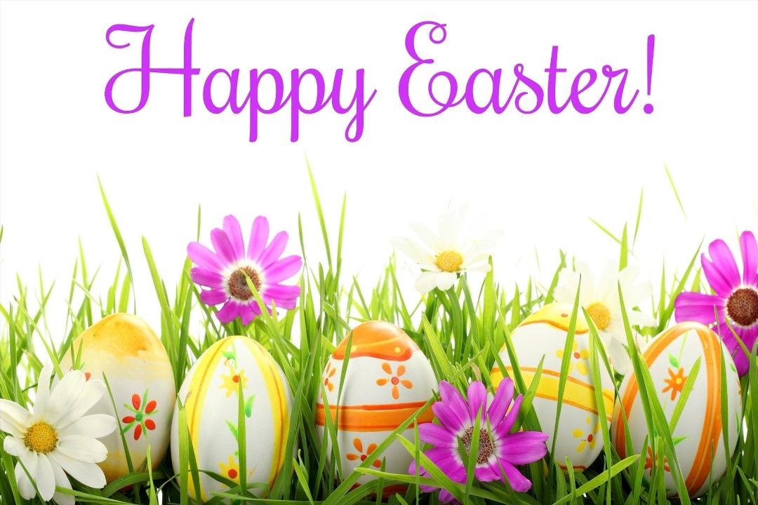 Jayne Griffith's album, Timeline Photos