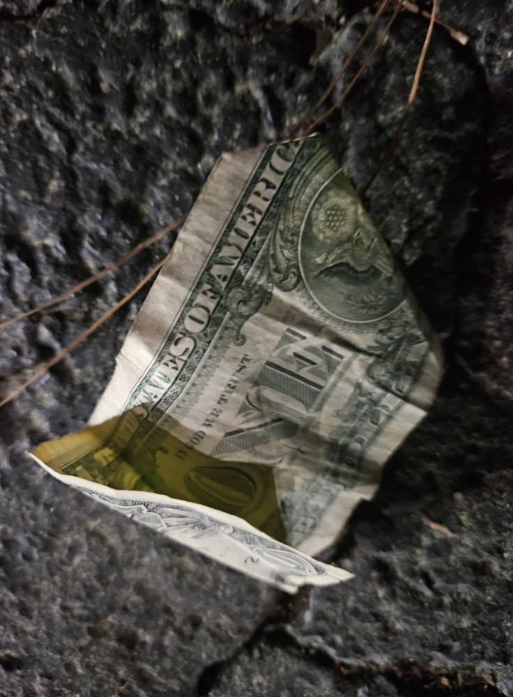 The wind blew it in!! One Dollar!!!!