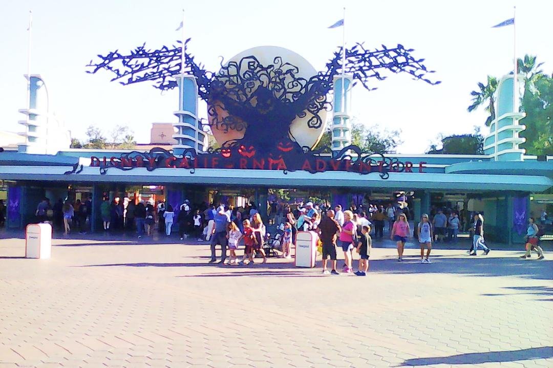 I took this photo of the entrance to California Adventure's Halloween overlay yesterday.
