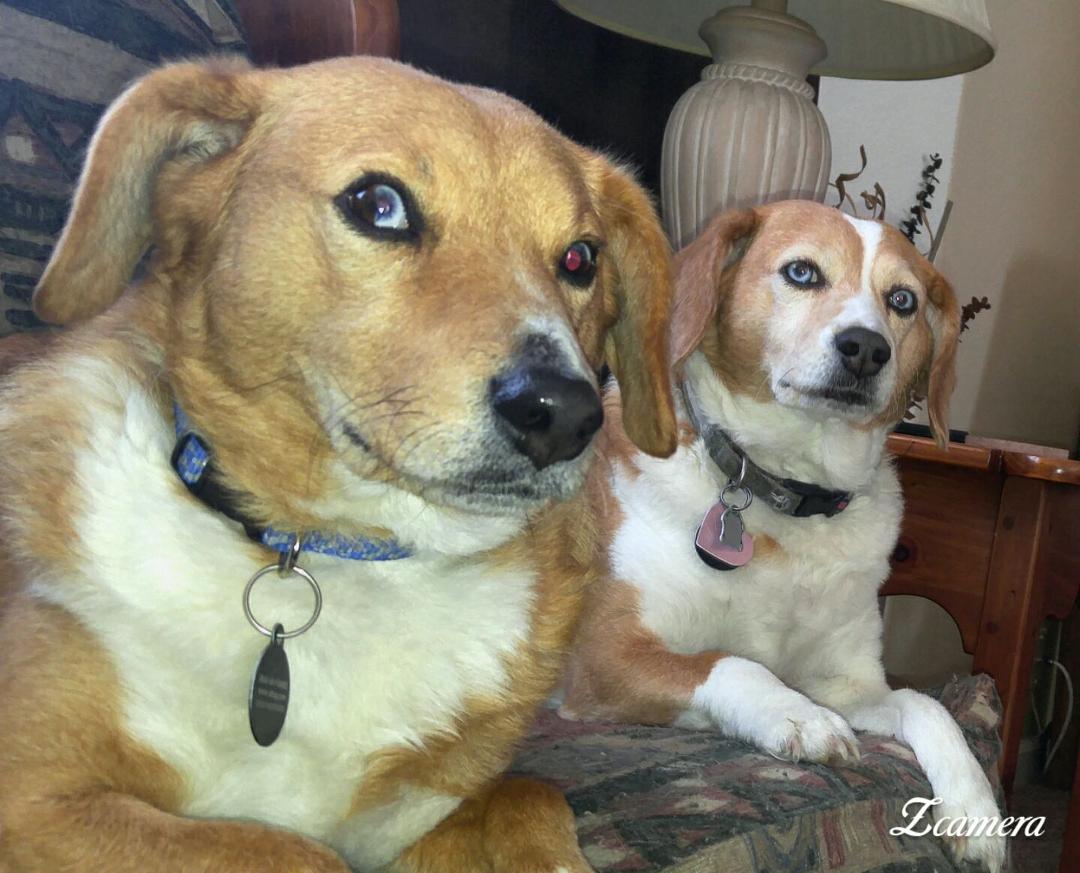 Daisy & Mother Sissy!