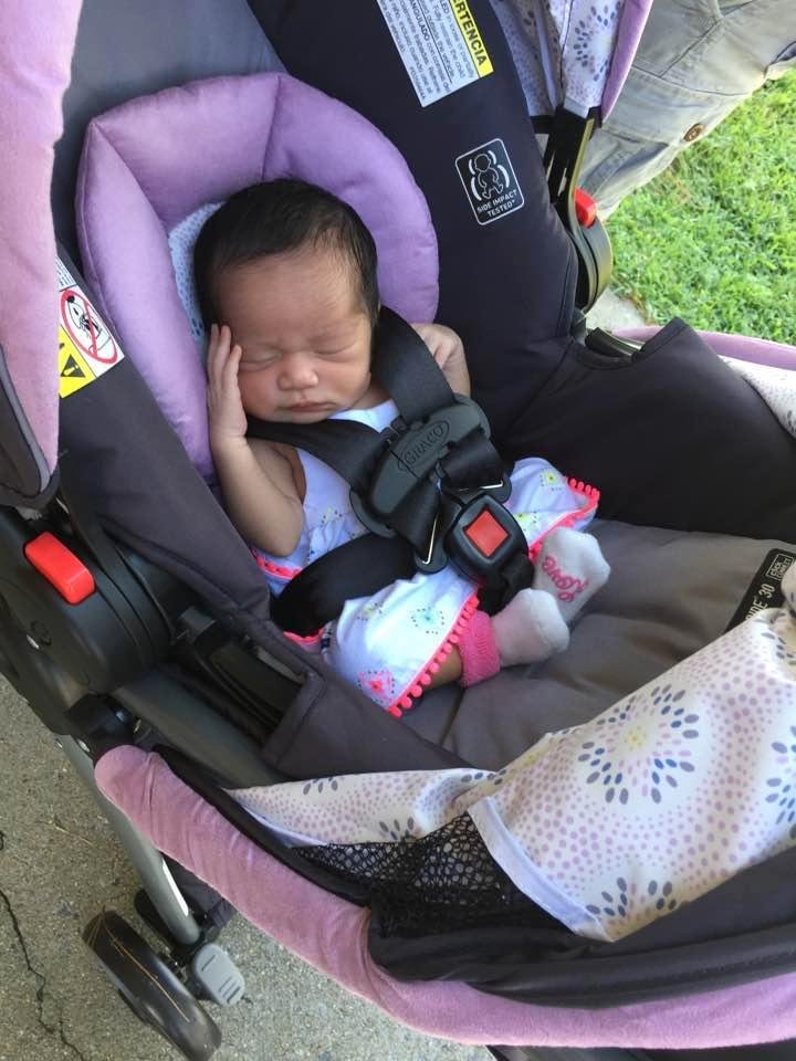 This is the newest member of the family "Penelope"
