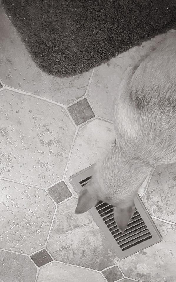 Lil girl swears, something down there is out to get her