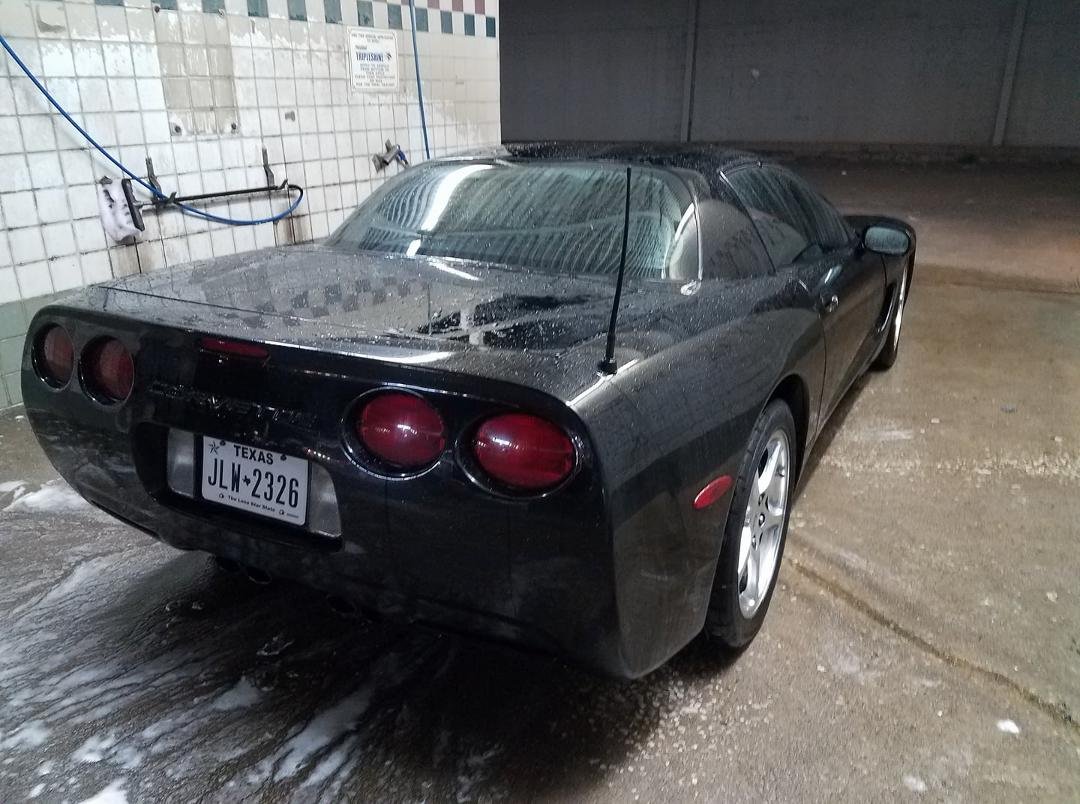 She sure is pretty when she's wet.