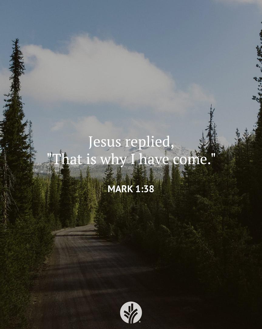 How can you be intentional about asking God to lead you? How have you seen God help you live with His purpose?
Dear God, please show me what You want me to do.