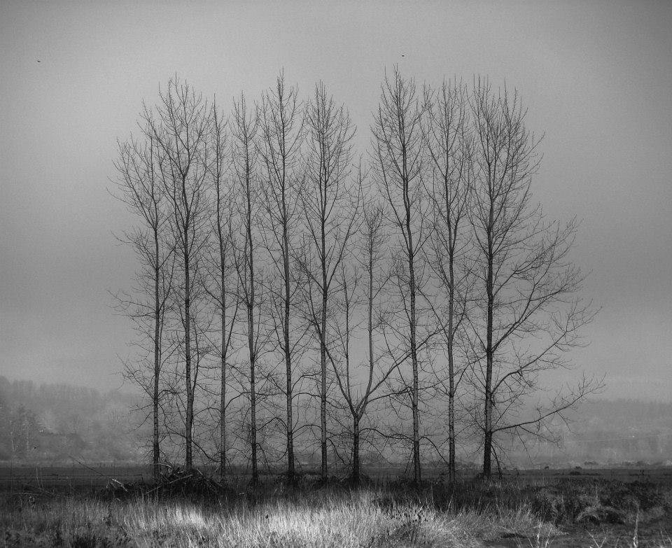 Kevin Barrett's album, Untitled Album