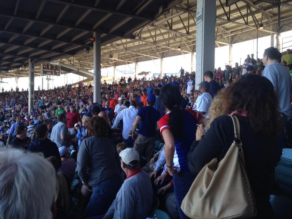 Foul ball scrum, right next to us!