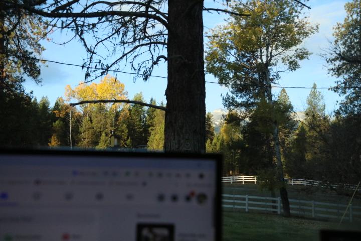 Robert Uithof's album, Timeline photos