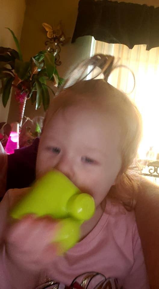 Tammy Lowe's album, Timeline Photos