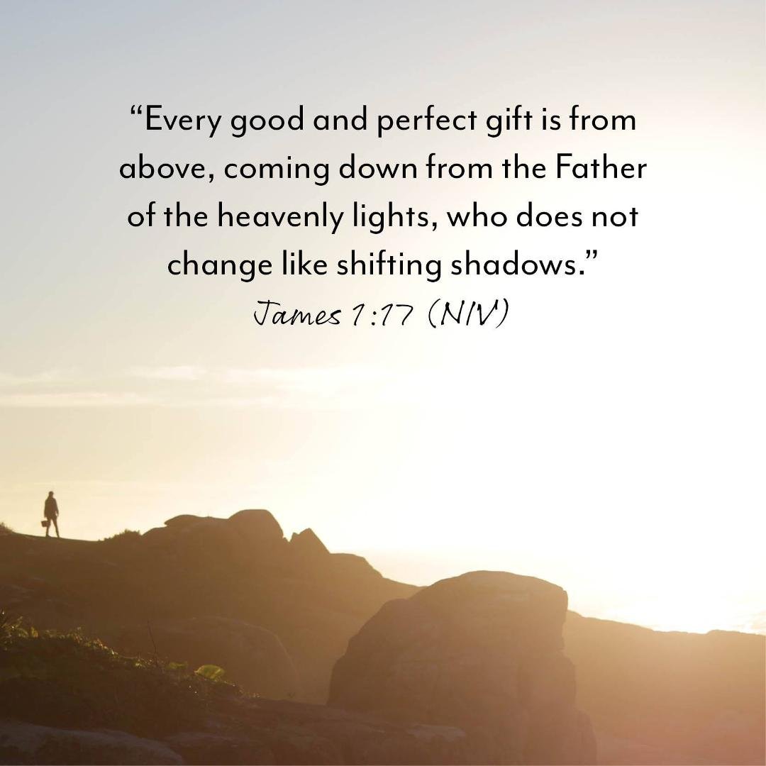 Mark Brickzin's album, Timeline Photos