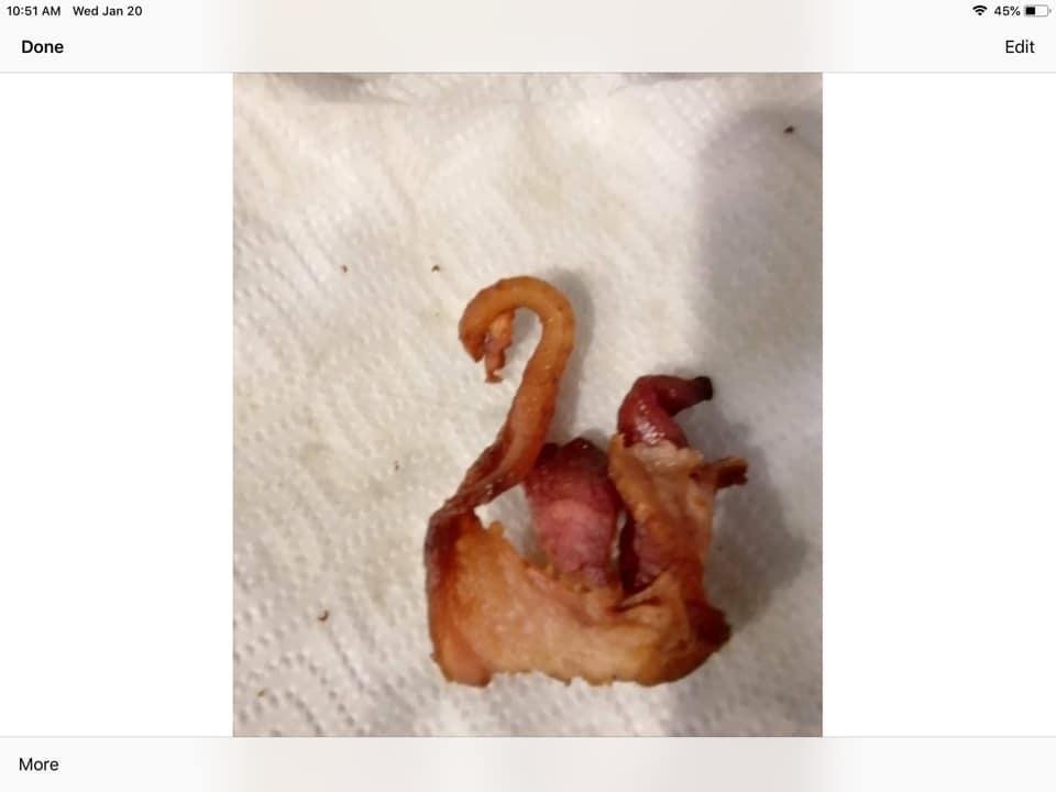 My sister BARBARA just sent me this picture of some bacon that she cooked this and it looks like a swan!