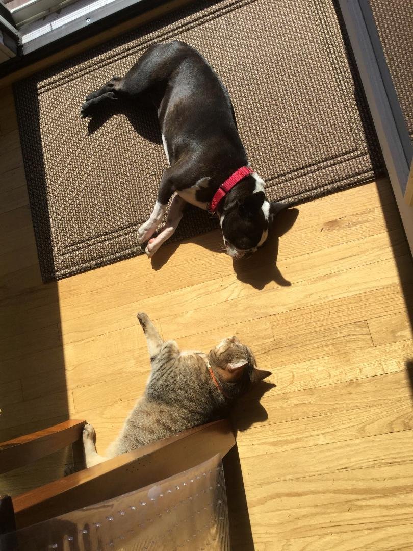 Our 2 girls enjoying the autumn sunshine