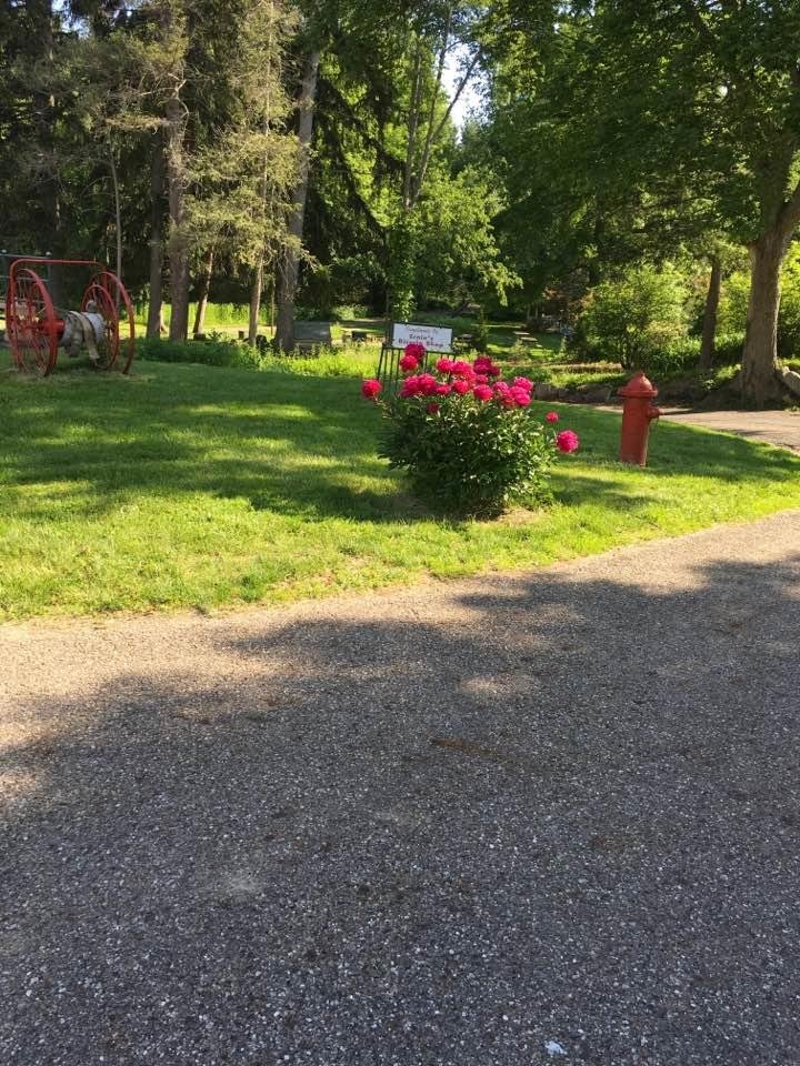 Edith Heckert's album, Timeline Photos