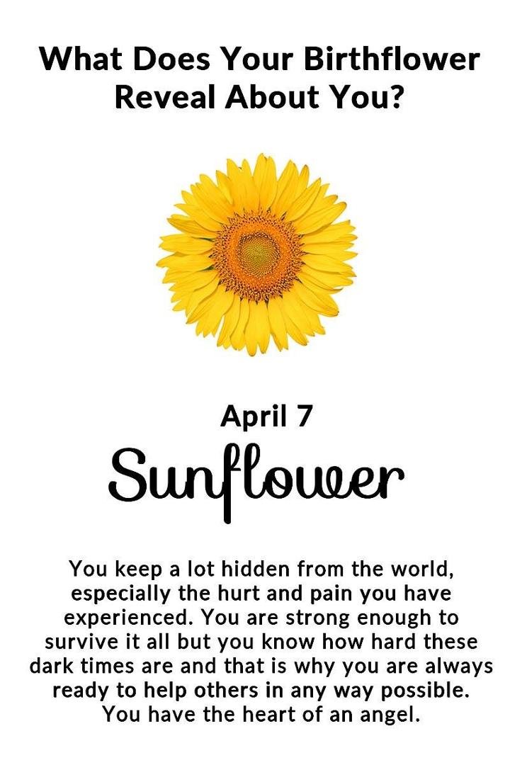 Deborah Marshall's album, Timeline Photos