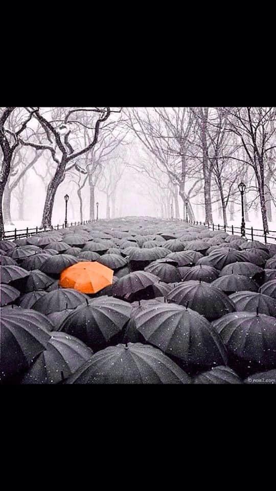 Giants fans stay dry