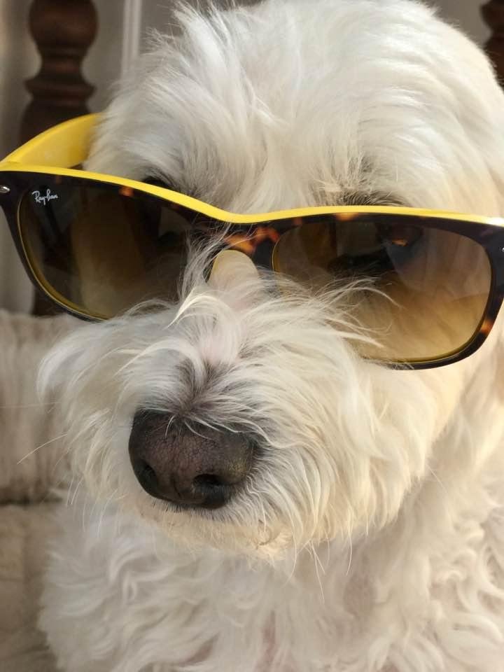 It's that kind of day🌞🌻😎