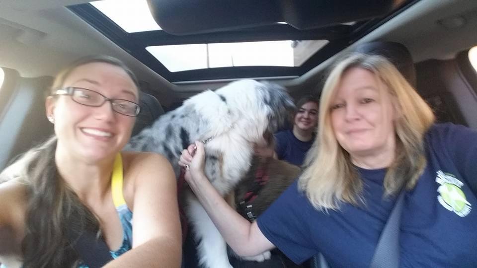 On our way to our first Mutt Strut 5k with Elizabeth, Alex, Rhea and Remy
